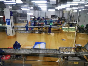 多圖首發！解密水產智能化工廠與文化館，探索未來水產新生態